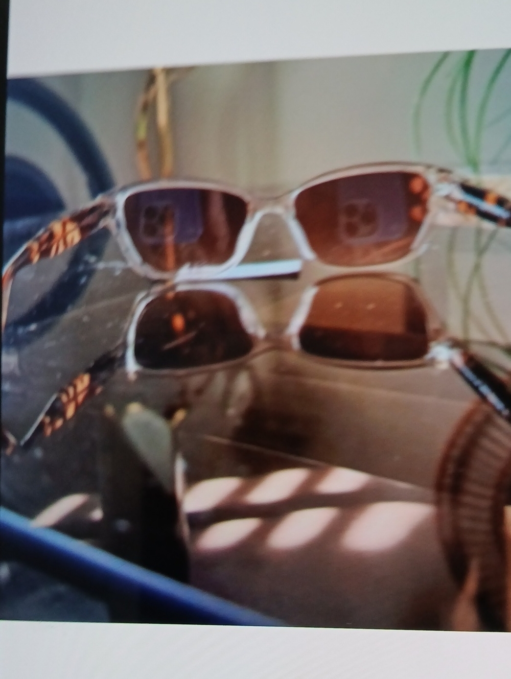 Clear Frame Brown Lens Sunglasses for Men